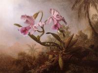 Heade, Martin Johnson - Orchids and Hummingbird